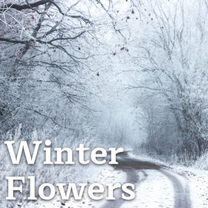 Winter Flowers